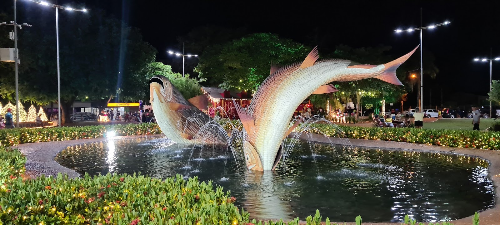 Bonito MS: Roteiro Completo para Sua Excursão Rodoviária