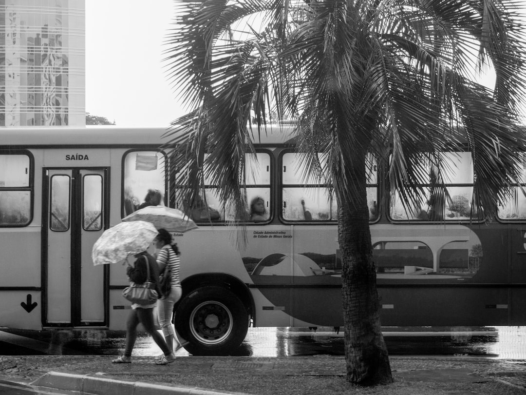 Excursões Rodoviárias Lucrativas: Guia para Agências de Viagem